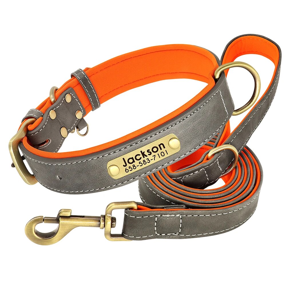 Stylisches Lederhalsband für Hunde | Personalisierbar & Komfortabel
