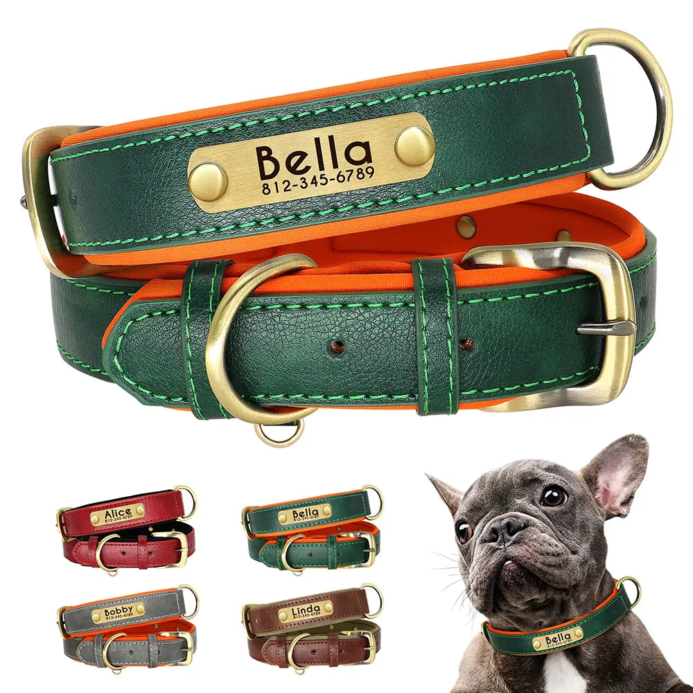 Stylisches Lederhalsband für Hunde | Personalisierbar & Komfortabel