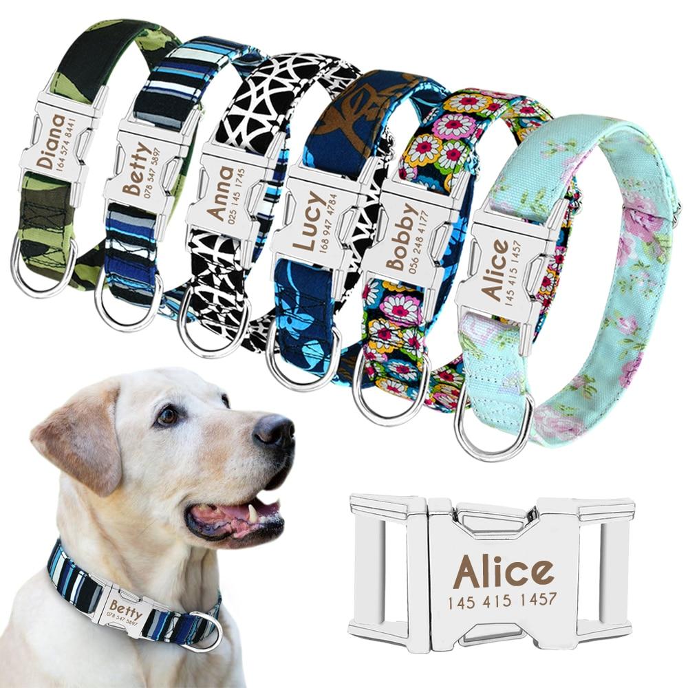Designer Hundehalsband personalisiert mit Lasergravur - Welt der Fellnasen